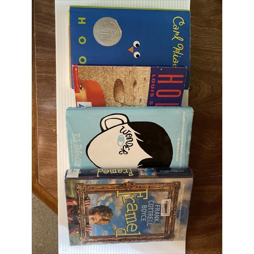 Summer Reading Set of Books Hoot, Holes, Wonder, Framed Tween Boy Girl